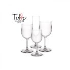 Pahar policarbonat Apa 300ml