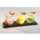 Platou ardezie cu amprenta 28x10cm