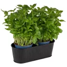 Suport tacamuri inox Utensilo negru