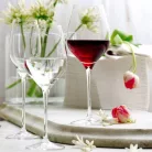 Pahar Vin Rosu 480ml Stolzle linia Exquisit Royal