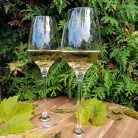 Pahar vin alb mic 285ml Stolzle linia Experience