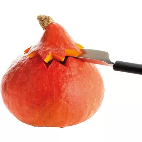 Cutit decorare fructe 20.5cm