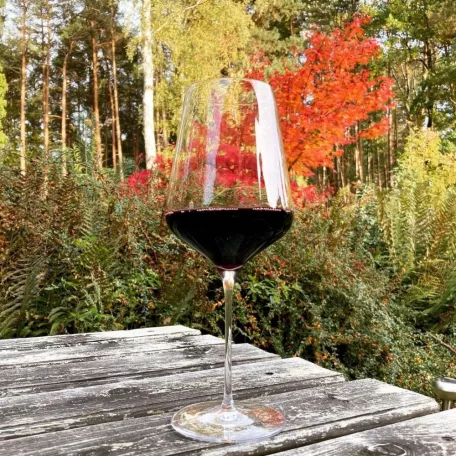 Pahar Bordeaux 675ml Stolzle Starlight