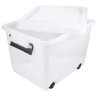 Container depozitare 60L