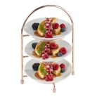 Stand servire  si prezentare