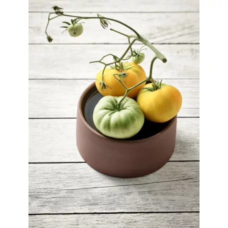 Bol 2in1 16cm linia Artisan