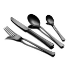 Set tacamuri  16pcs PVD Negru mat  Solex linia Karina