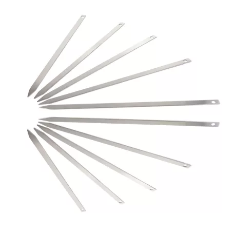 Set 10 tepuse frigarui plate 46cm