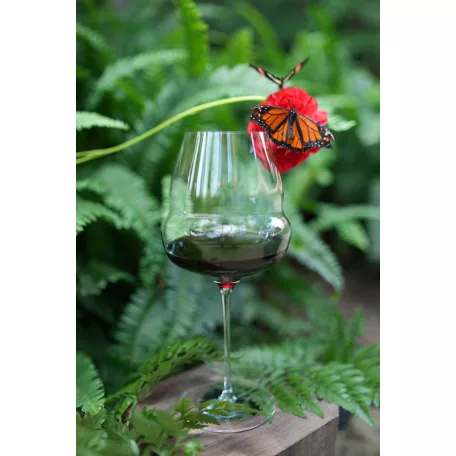 Pahar vin rosu Burdundy 712ml Stolzle linia Cocoon