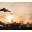 Pahar vin alb 483ml Stolzle linia Cocoon