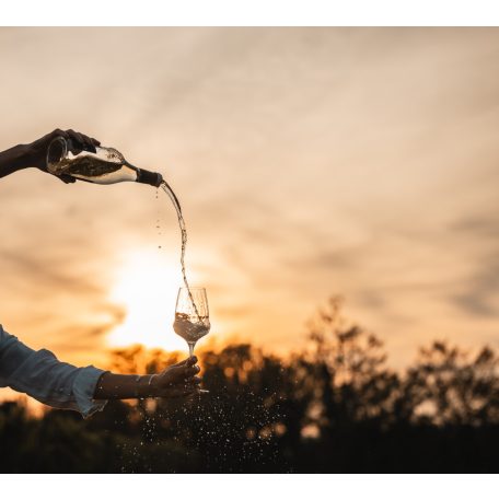 Pahar vin alb 483ml Stolzle linia Cocoon