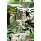 Pahar vin alb 483ml Stolzle linia Cocoon