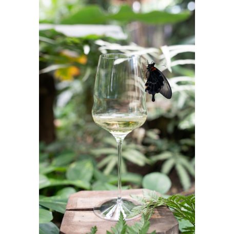 Pahar vin alb 483ml Stolzle linia Cocoon