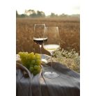 Pahar vin alb 483ml Stolzle linia Cocoon