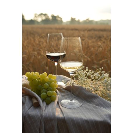 Pahar vin alb 483ml Stolzle linia Cocoon