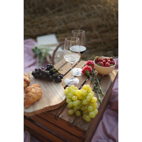 Pahar vin alb 483ml Stolzle linia Cocoon