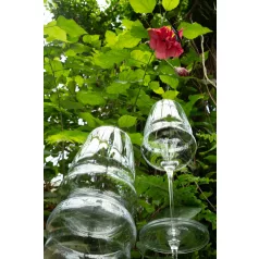 Pahar tumbler vin rosu 556ml Stolzle linia Cocoon