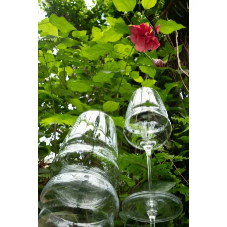 Pahar tumbler vin rosu 556ml Stolzle linia Cocoon