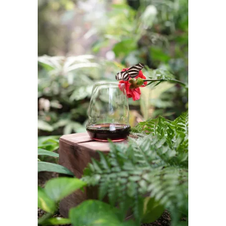 Pahar tumbler vin rosu 556ml Stolzle linia Cocoon