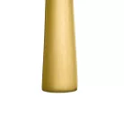 Lingura gourmet PVD Gold Brushed 18.3cm Hepp linia Accent
