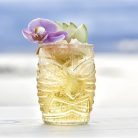 Pahar cocktail Tiki 470ml Libbey linia Tiki