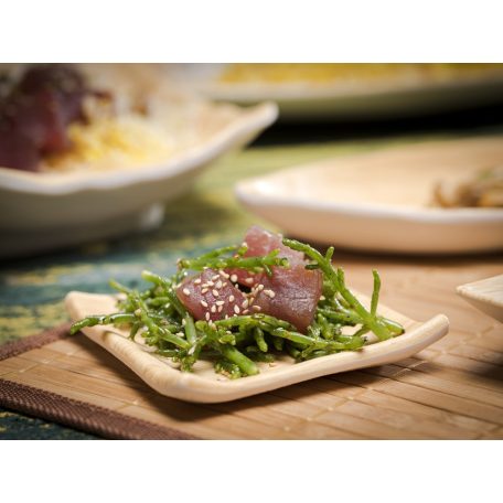 Tava dreptunghiulara 10x10cm BAMBOO