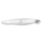 Penseta oase peste Shun KAI