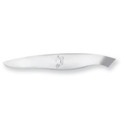 Penseta oase peste Shun KAI