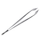 Penseta oase peste Shun KAI