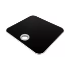 Cantar digital SCALE