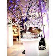 Frapiera Vintage 33cm auriu cu picior